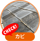 カビ